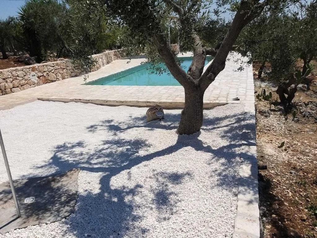 Casa Giuliveto - Charmantes Ferienhaus Mit Privatpool In Olivenhain Ostuni Luaran gambar