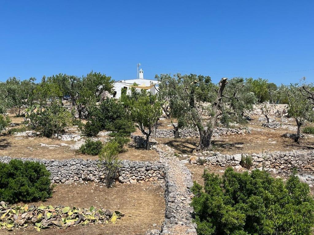 Casa Giuliveto - Charmantes Ferienhaus Mit Privatpool In Olivenhain Ostuni Luaran gambar