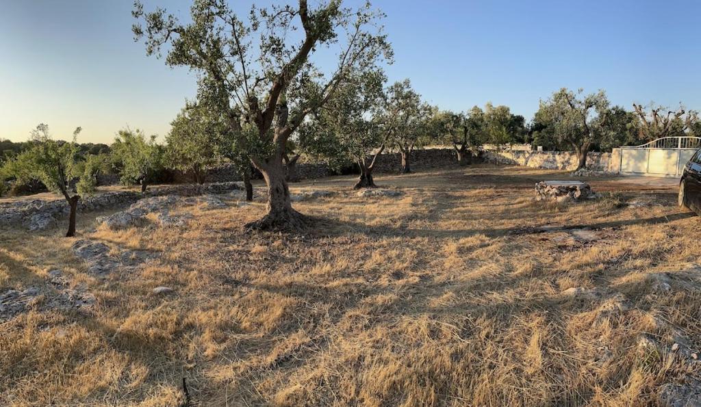 Casa Giuliveto - Charmantes Ferienhaus Mit Privatpool In Olivenhain Ostuni Luaran gambar