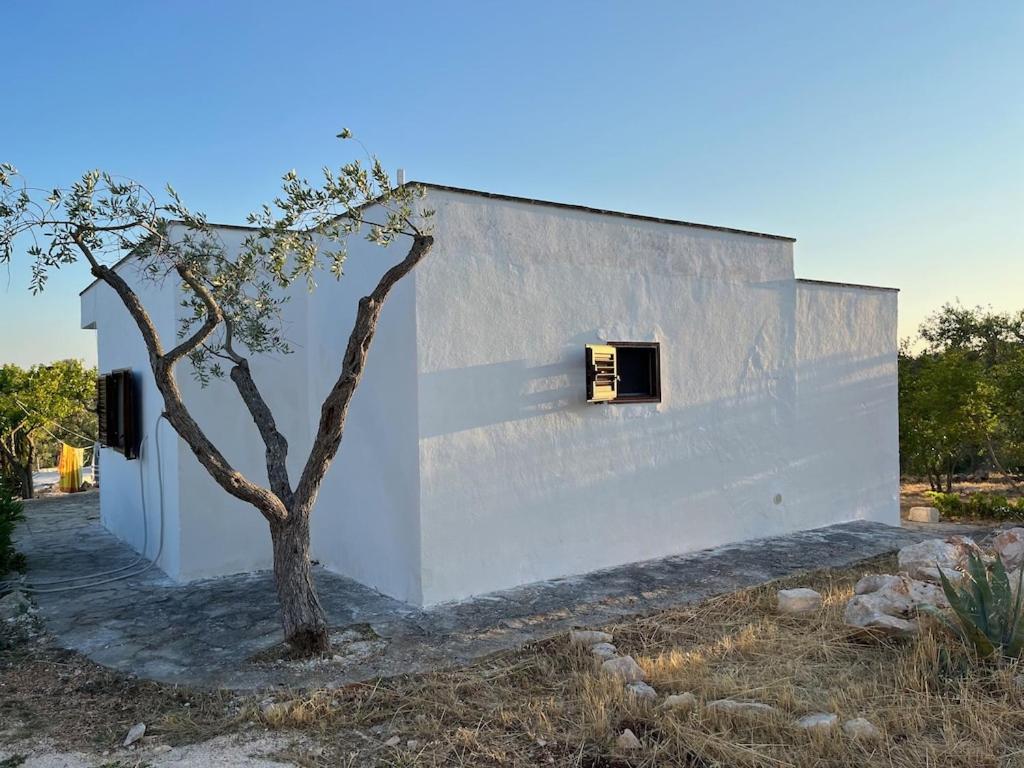Casa Giuliveto - Charmantes Ferienhaus Mit Privatpool In Olivenhain Ostuni Luaran gambar