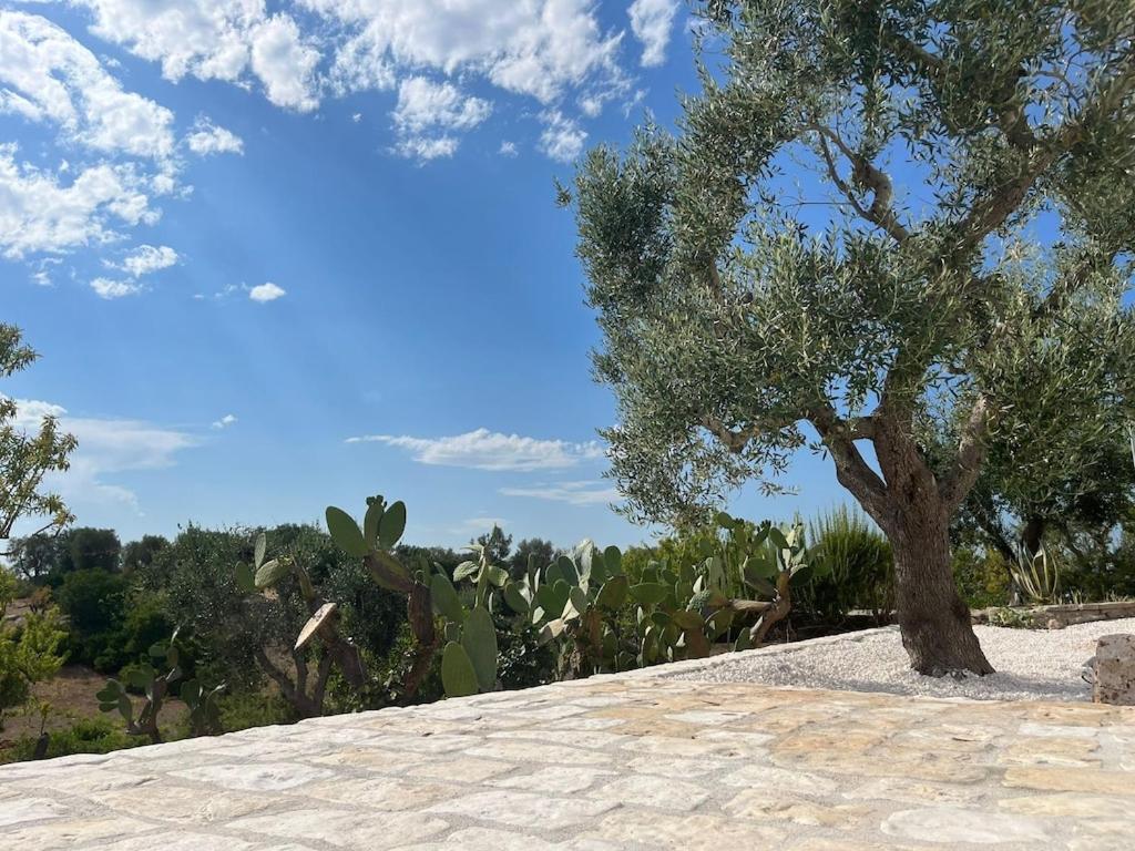 Casa Giuliveto - Charmantes Ferienhaus Mit Privatpool In Olivenhain Ostuni Luaran gambar
